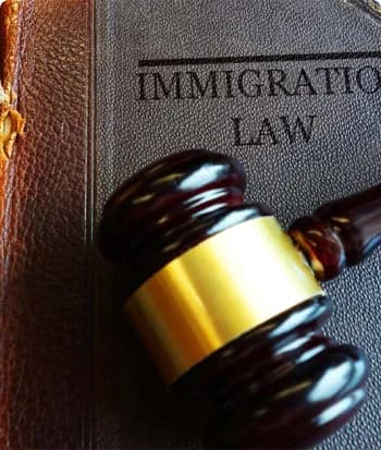 Immigration Law